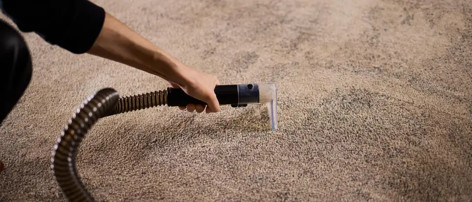 A hand holding a clear extraction nozzle on a ribbed hose against a beige carpet