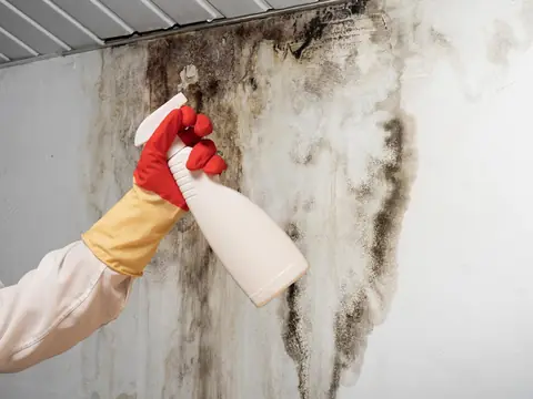 A hand in a red and yellow rubber glove holding a plain white spray bottle up to black mold on a white wall below the ceiling